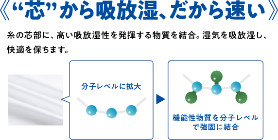 “芯”から吸放湿、だから速い 糸の芯部に、高い吸放湿性を発揮する物質を結合。湿気を吸放湿し、快適を保ちます。